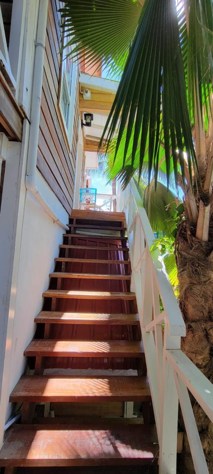 Caye Caulker Boutique Guesthouse 6 Экстерьер фото